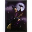 Magneet Witch on broom