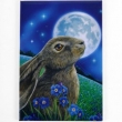 magneet Moon gazing hare