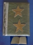 Dun Book of Shadows groen