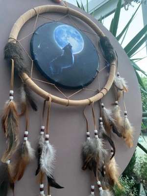 Dreamcatcher 